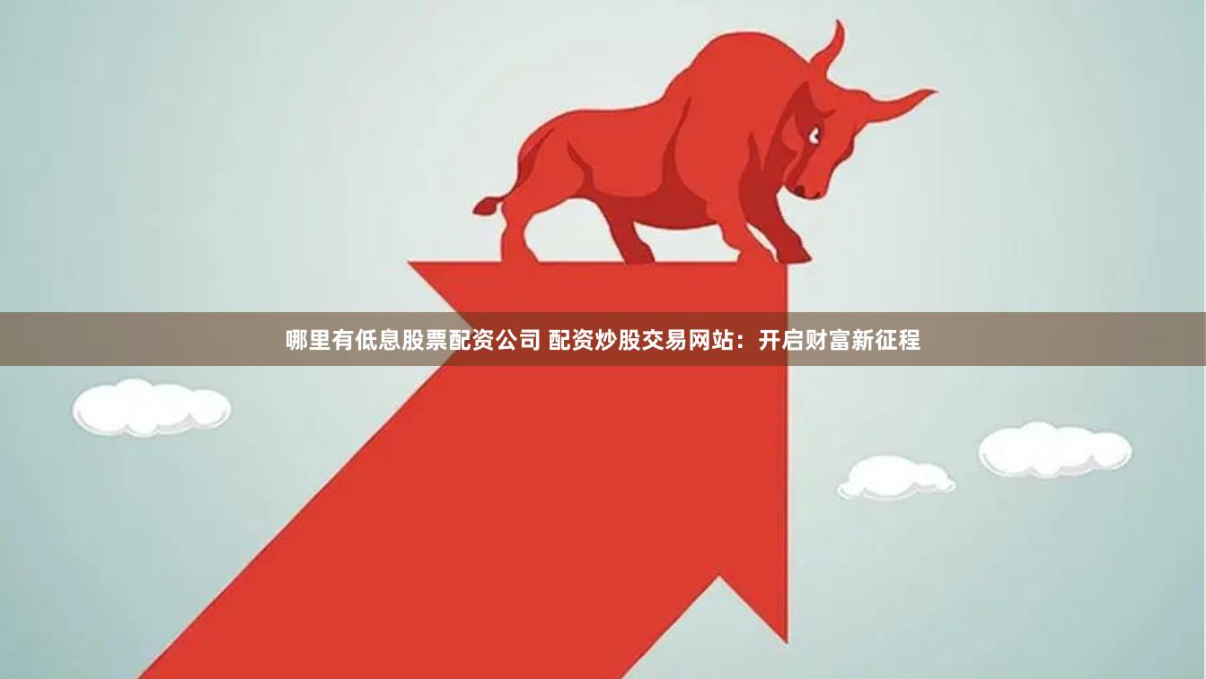 哪里有低息股票配资公司 配资炒股交易网站：开启财富新征程
